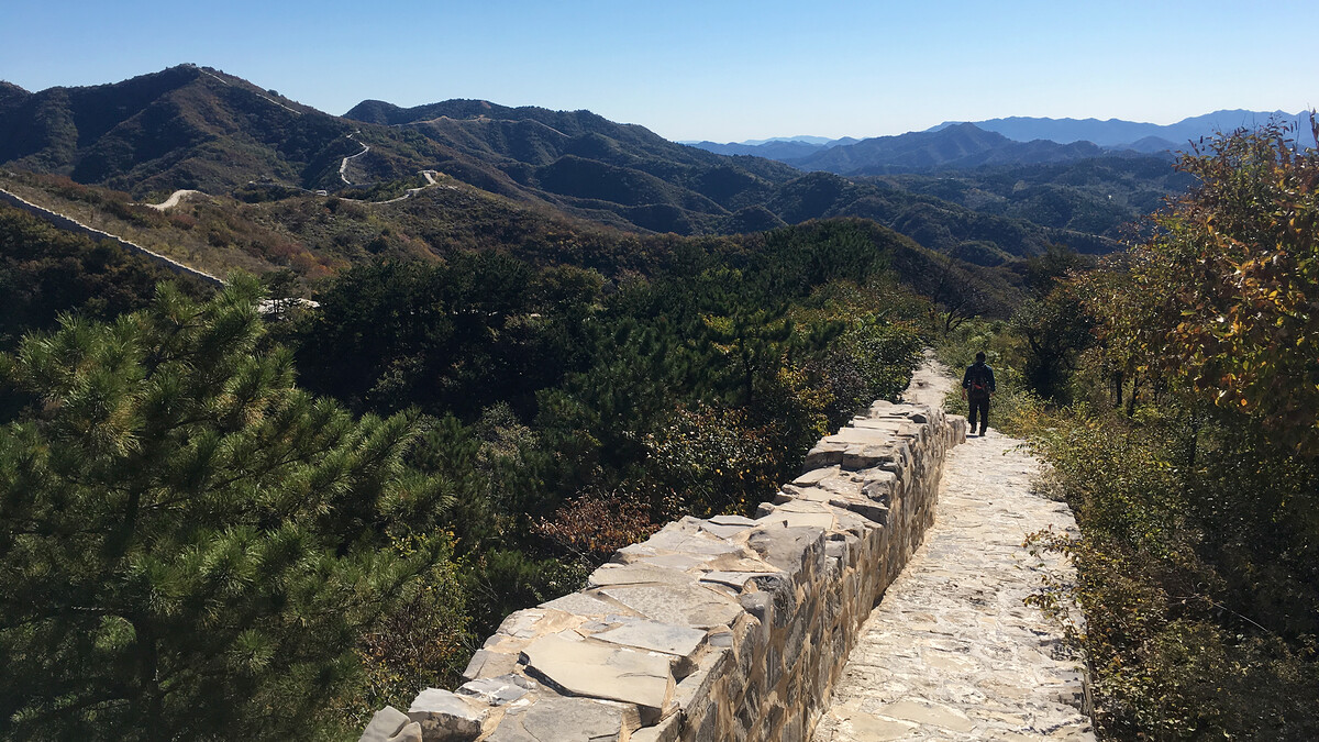 Repaired Great Wall and pine trees.