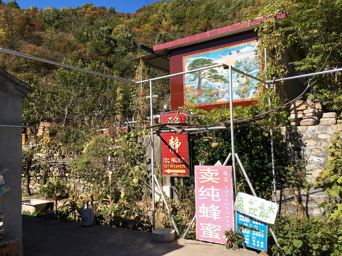 Signs for guesthouses in Hongshimen Village.