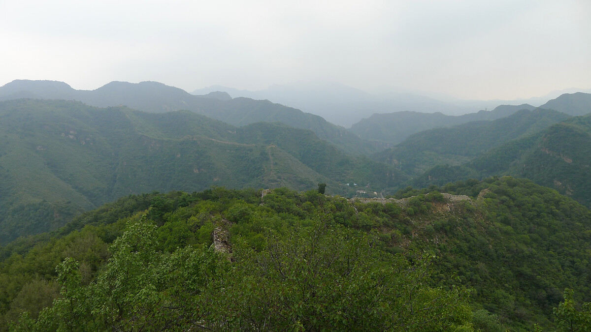 A low line of Great Wall disappears into forest.