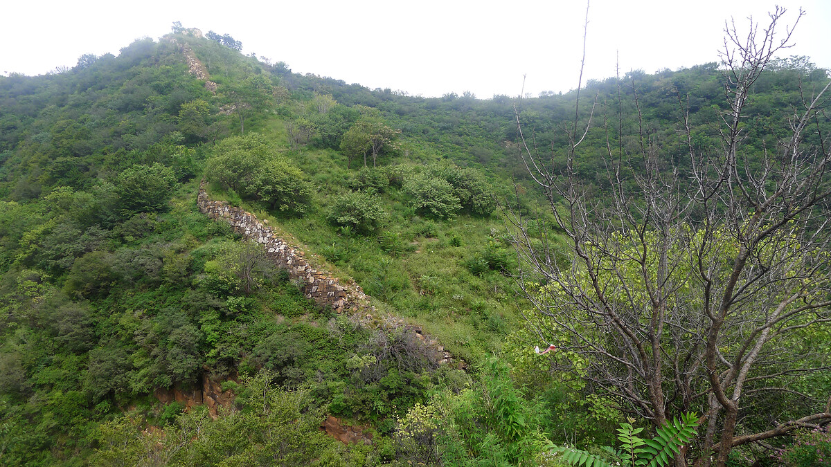Rocky Great Wall covered by trees and bushes.