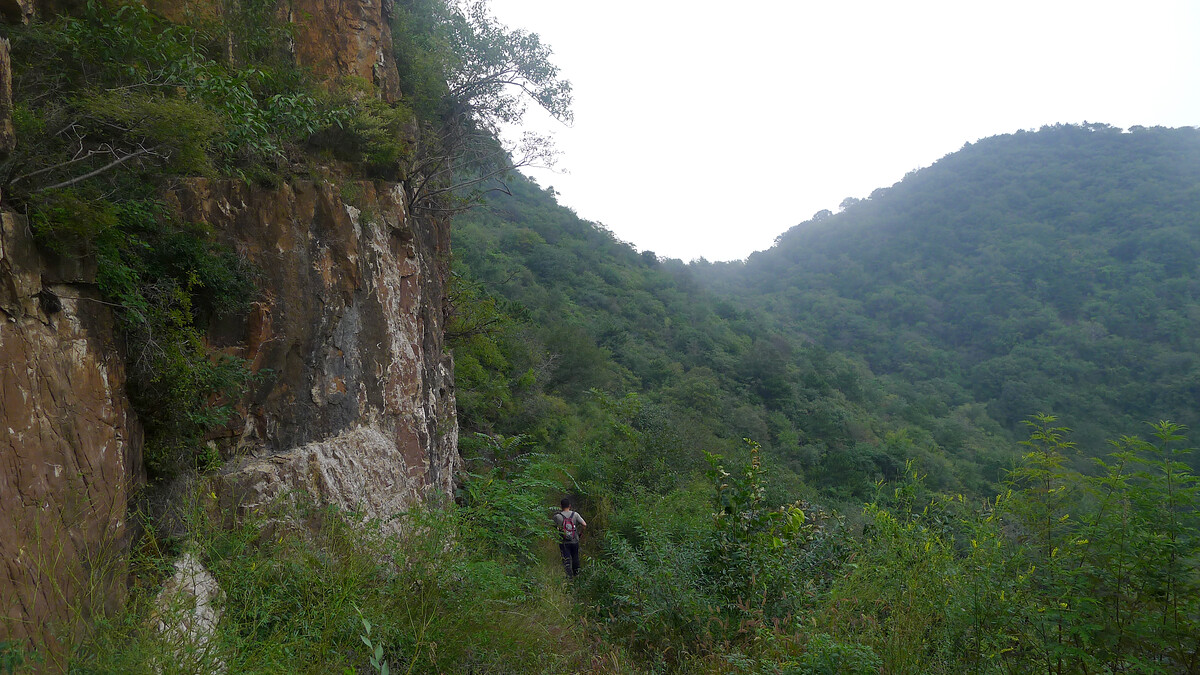A trail below a cliff