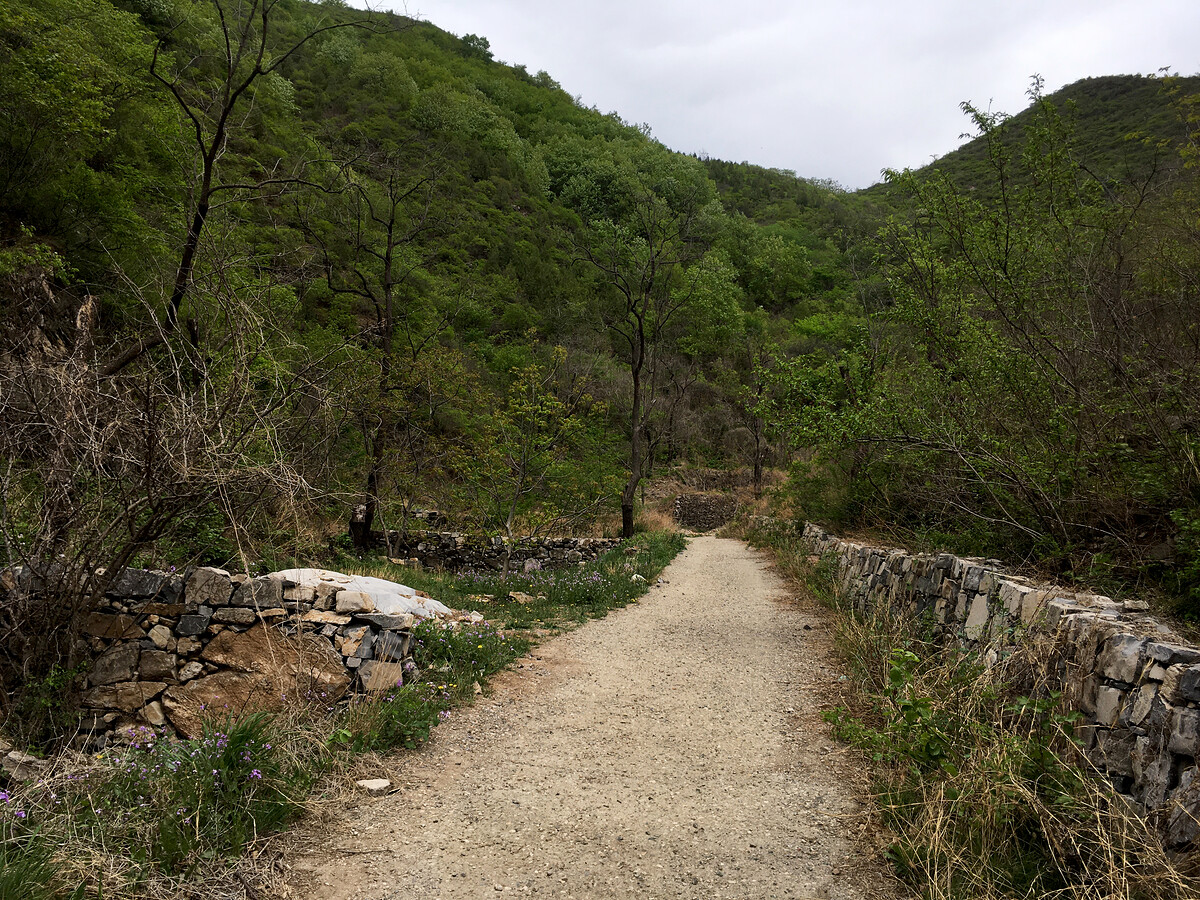 A concrete path between stone walls and forest.