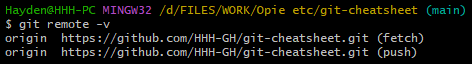 Screenshot of the git remote -v command and the information returned