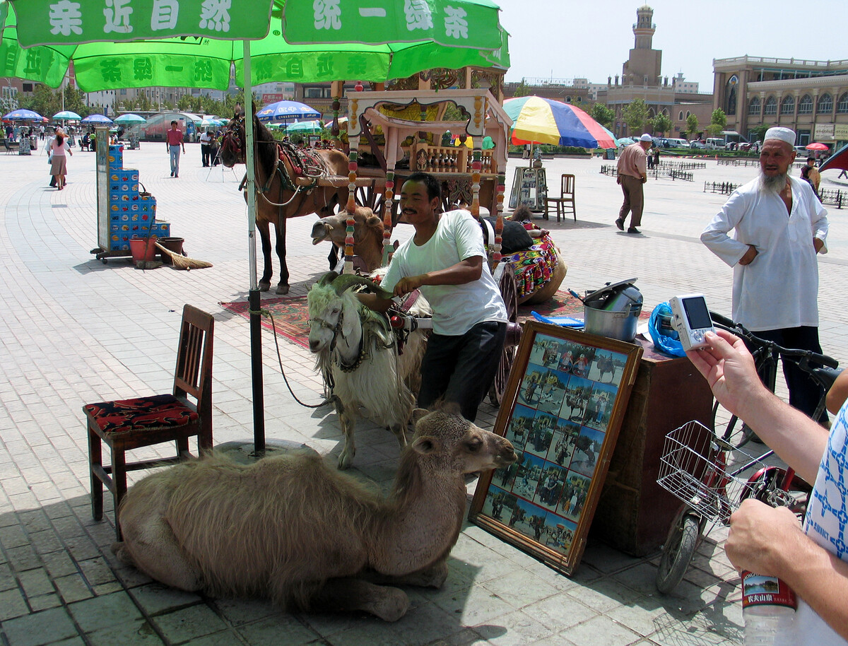 Photos with camels in Kashgar.