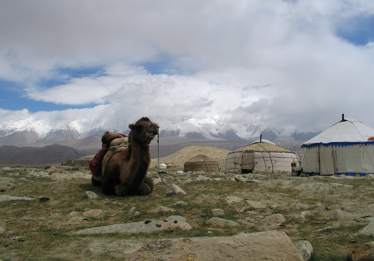 A camel at Lake Karakul