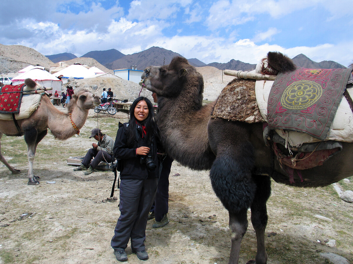HJ and a camel
