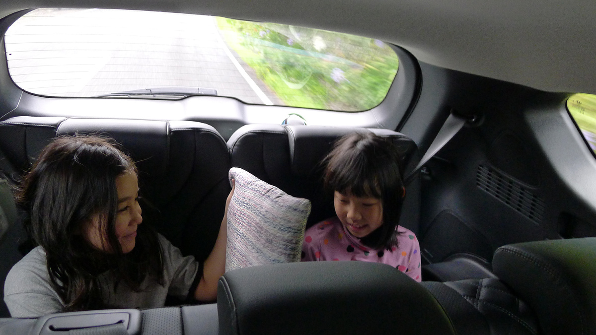 Kids in the backseat of the car