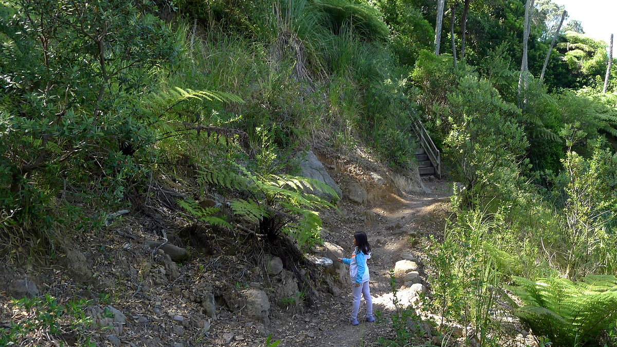 Mount Maunganui summit track