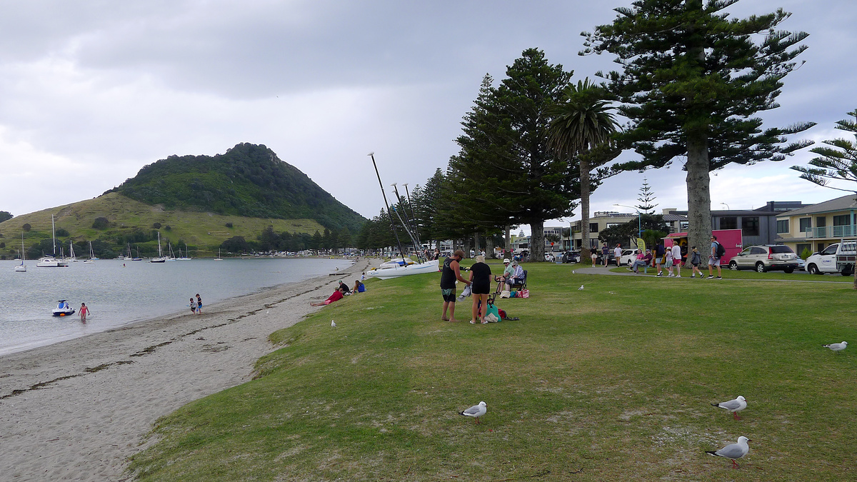 Pilot Bay Beach, Tauranga, New Zealand