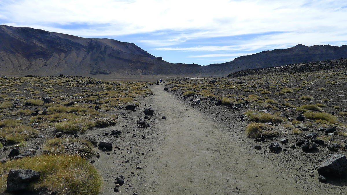 The track into South Crater, Tongariro Alpine Crossing