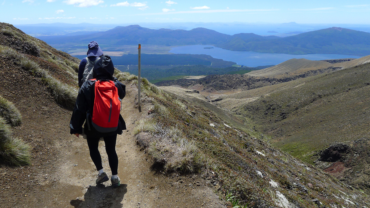 Views down to Lake Rotoaira.