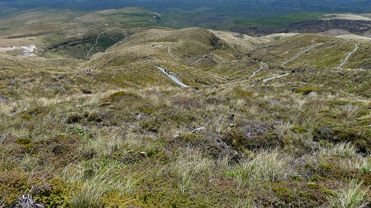 Ketetahi Track, Tongariro Alpine Crossing