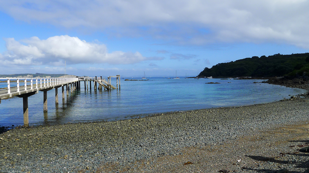 The wharf at Tiritri Matangi.