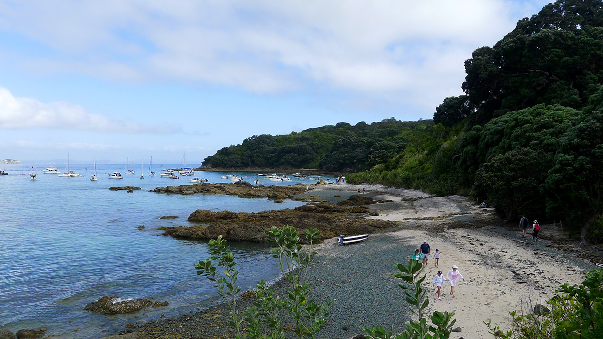 Hobbs Beach, Tiritiri Matangi