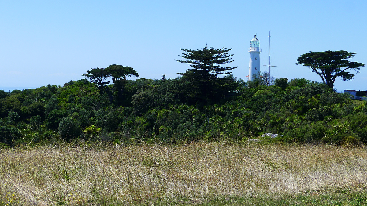 Pines and lighthouse