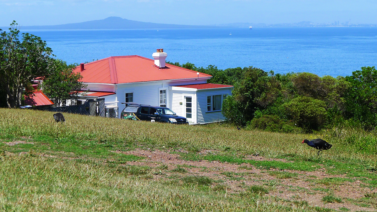 Tiritiri Matangi bunkhouse