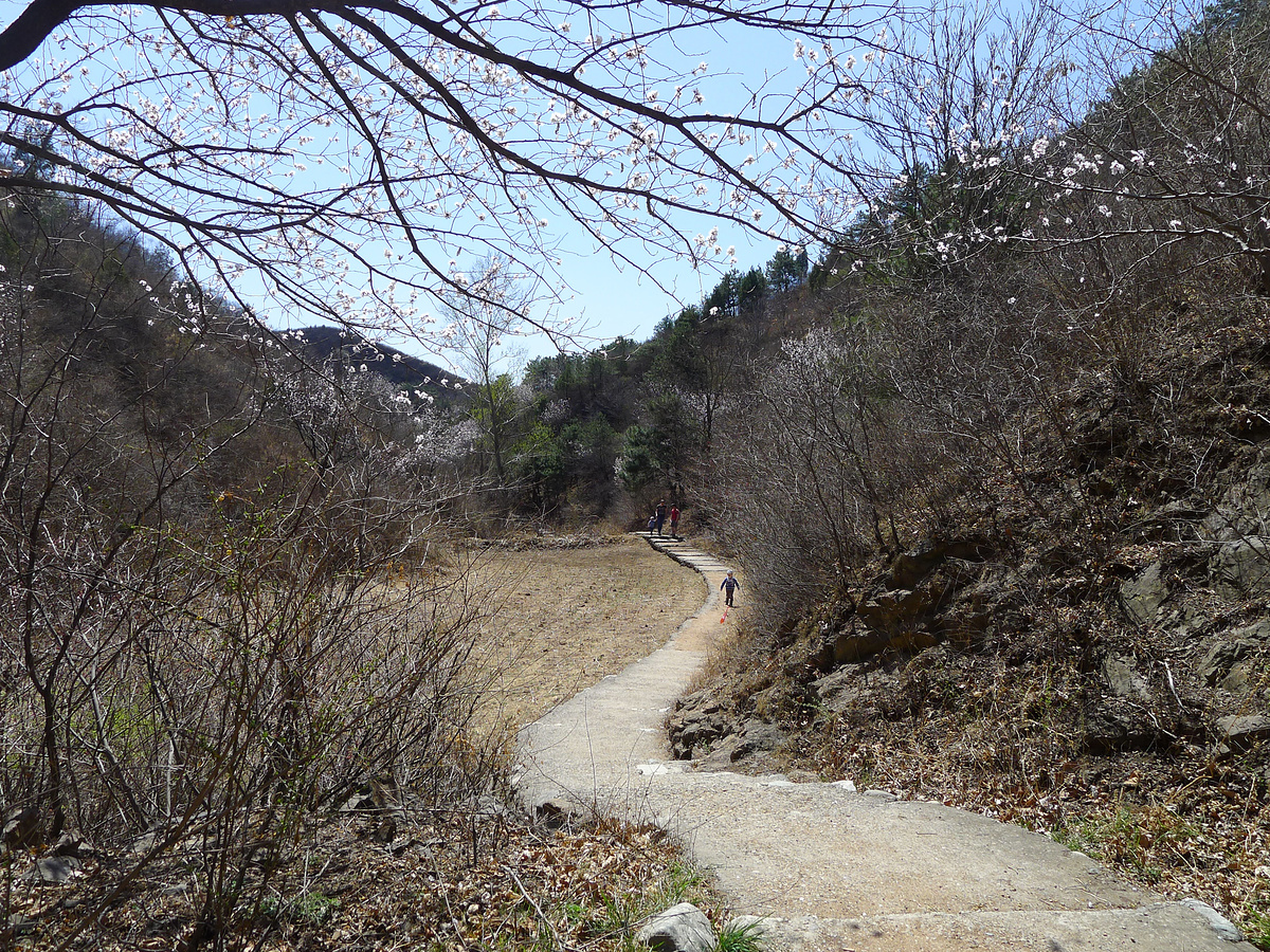 A paved park track is a faster way up to the General’s Tower.