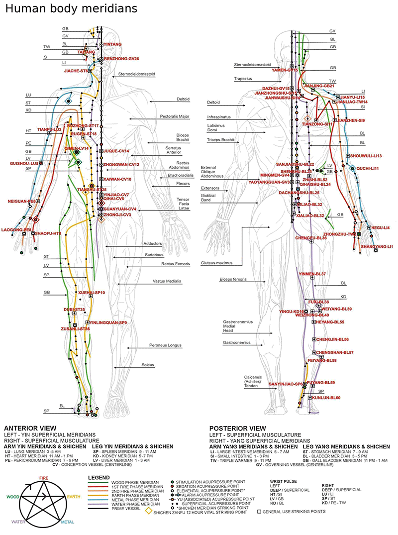 Diagram of human body meridians (Source wikipedia)