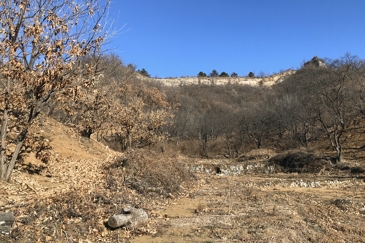 Great Wall on a ridge above chestnut orchards.